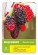 Moruše MOJO BERRY® - 40-60cm