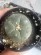 Lophophora williamsii